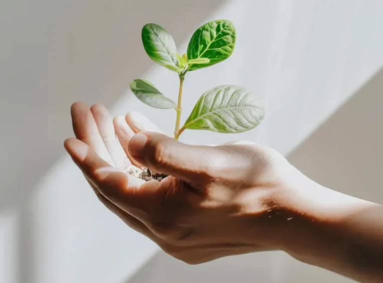 Compromiso con la sostenibilidad